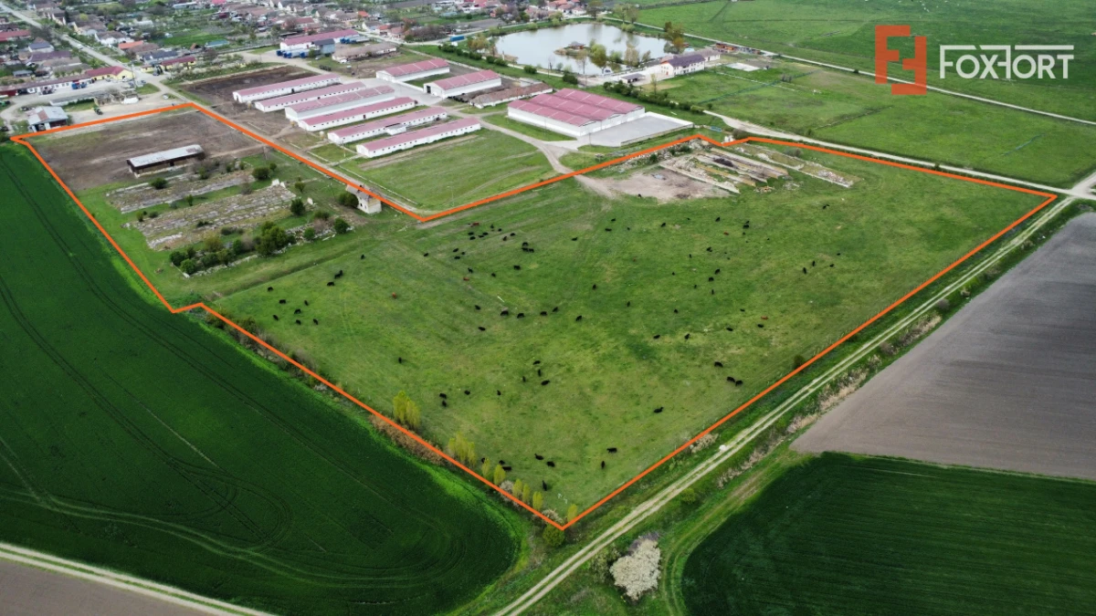 Teren intravilan cu suprafata de 58.340 mp, in Sanmartinul Sarbesc - 4