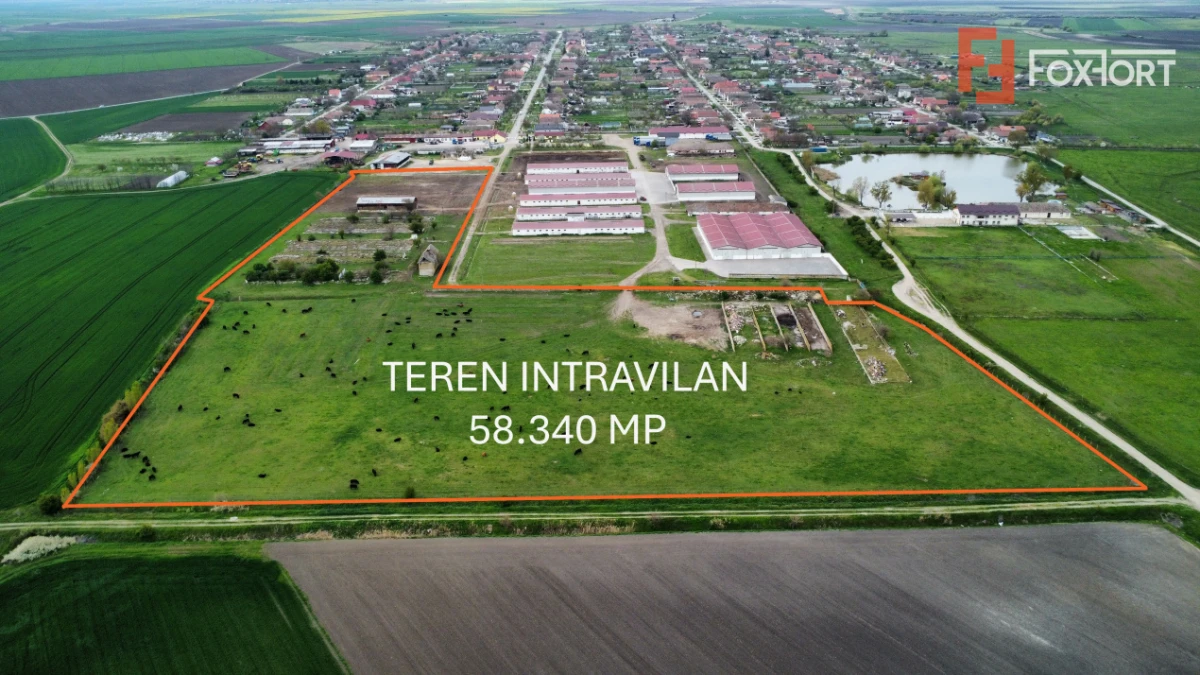 Teren intravilan cu suprafata de 58.340 mp, in Sanmartinul Sarbesc - 1