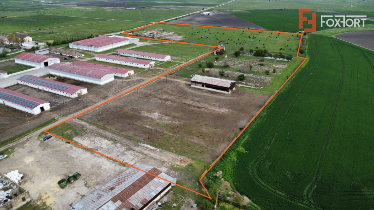 Teren intravilan cu suprafata de 58.340 mp, in Sanmartinul Sarbesc - 3