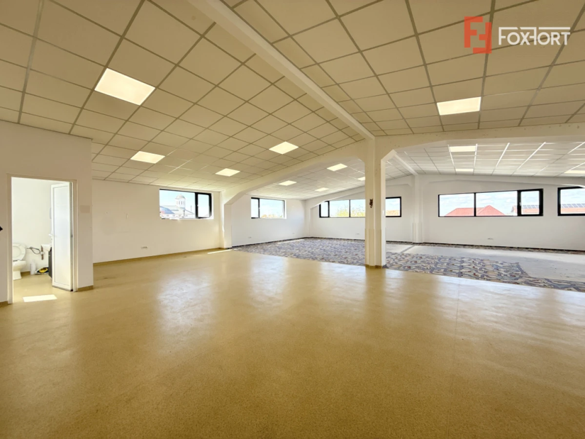 Spatiu pentru birouri/activitati – 190 mp in Sacalaz - Curte privata - 6