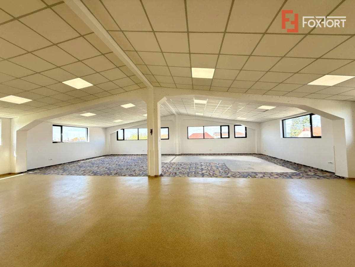 Spatiu pentru birouri/activitati – 190 mp in Sacalaz - Curte privata - 5