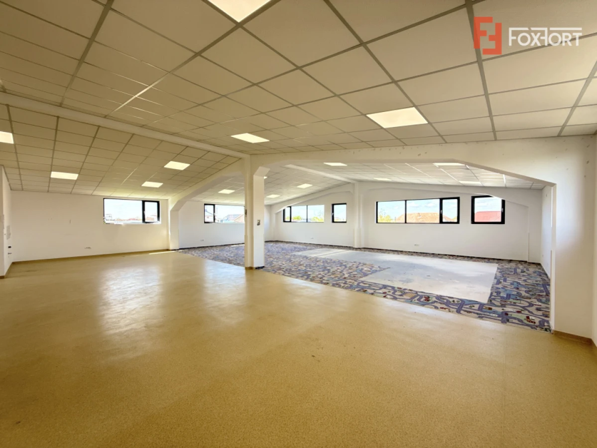 Spatiu pentru birouri/activitati – 190 mp in Sacalaz - Curte privata - 4