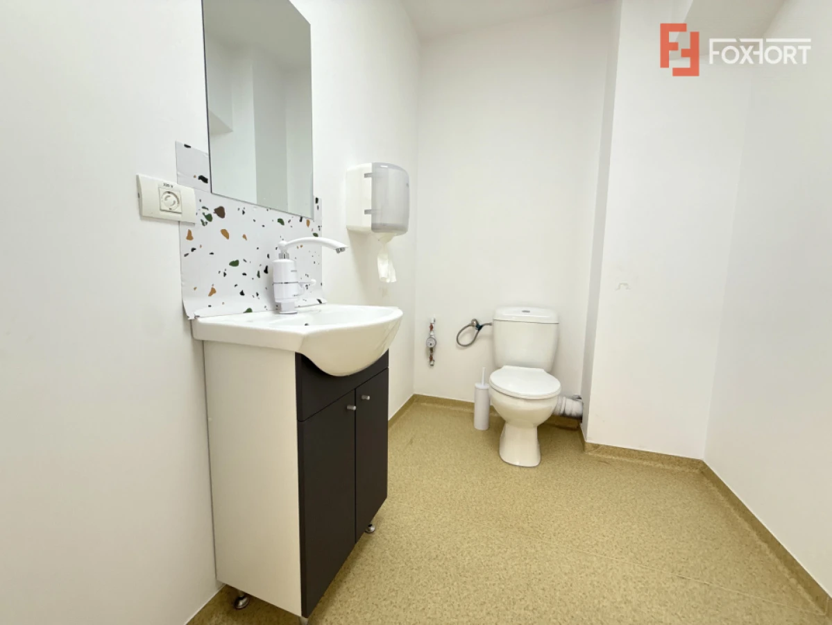 Spatiu pentru birouri/activitati – 190 mp in Sacalaz - Curte privata - 3