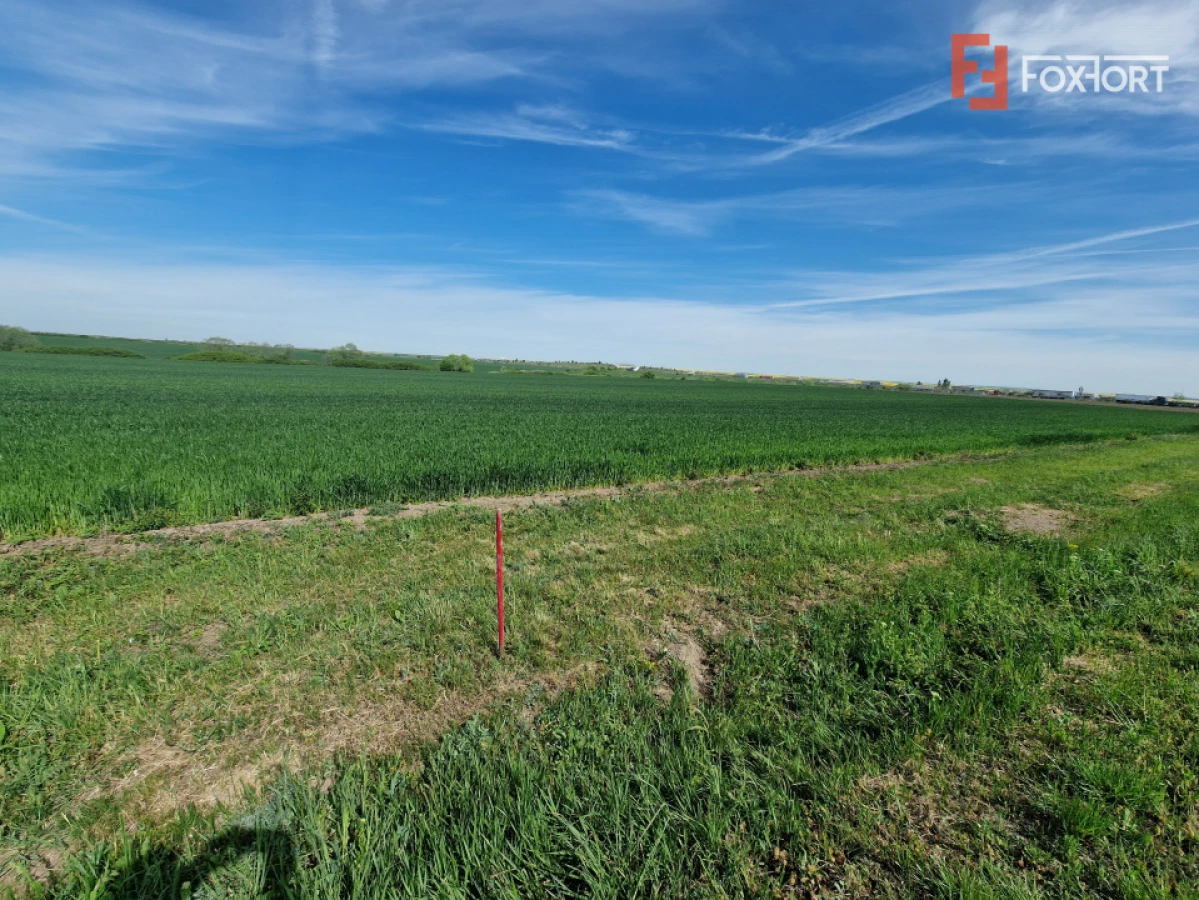 Teren extravilan de 9500 mp de vanzare in Remetea Mare - 1