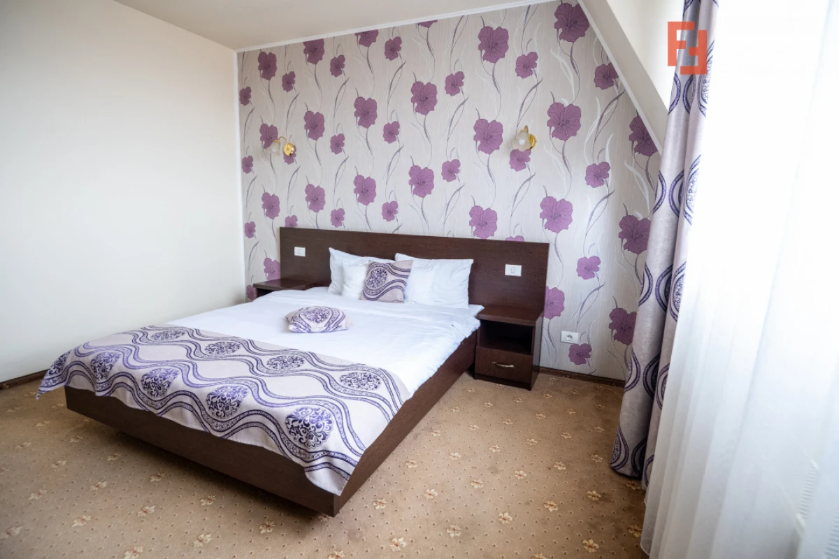 Hotel Miky Arad de vanzare bussiness operational functional - 38 camere - 9