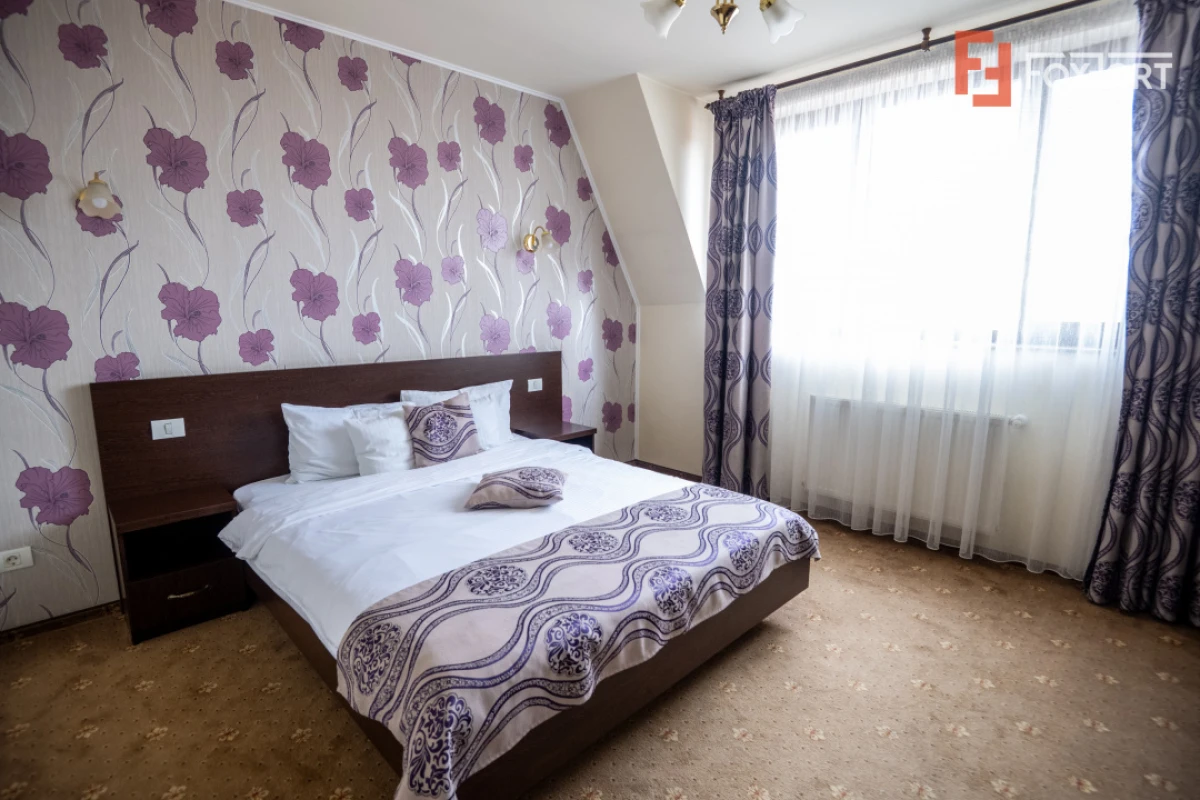 Hotel Miky Arad de vanzare bussiness operational functional - 38 camere - 8