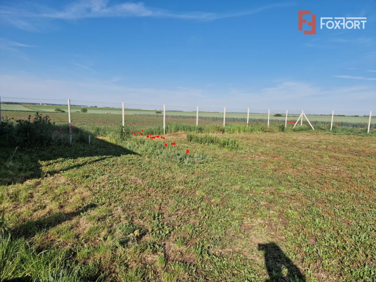 Teren extravilan de 3500 mp de vanzare in Remetea Mare - 5