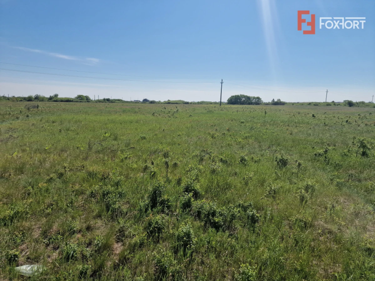 Teren de 5000 mp de vanzare in Mosnita Veche - 2
