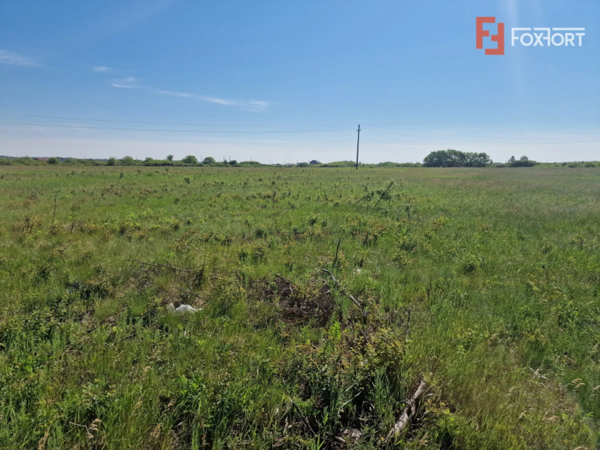 Teren de 5000 mp de vanzare in Mosnita Veche - 1