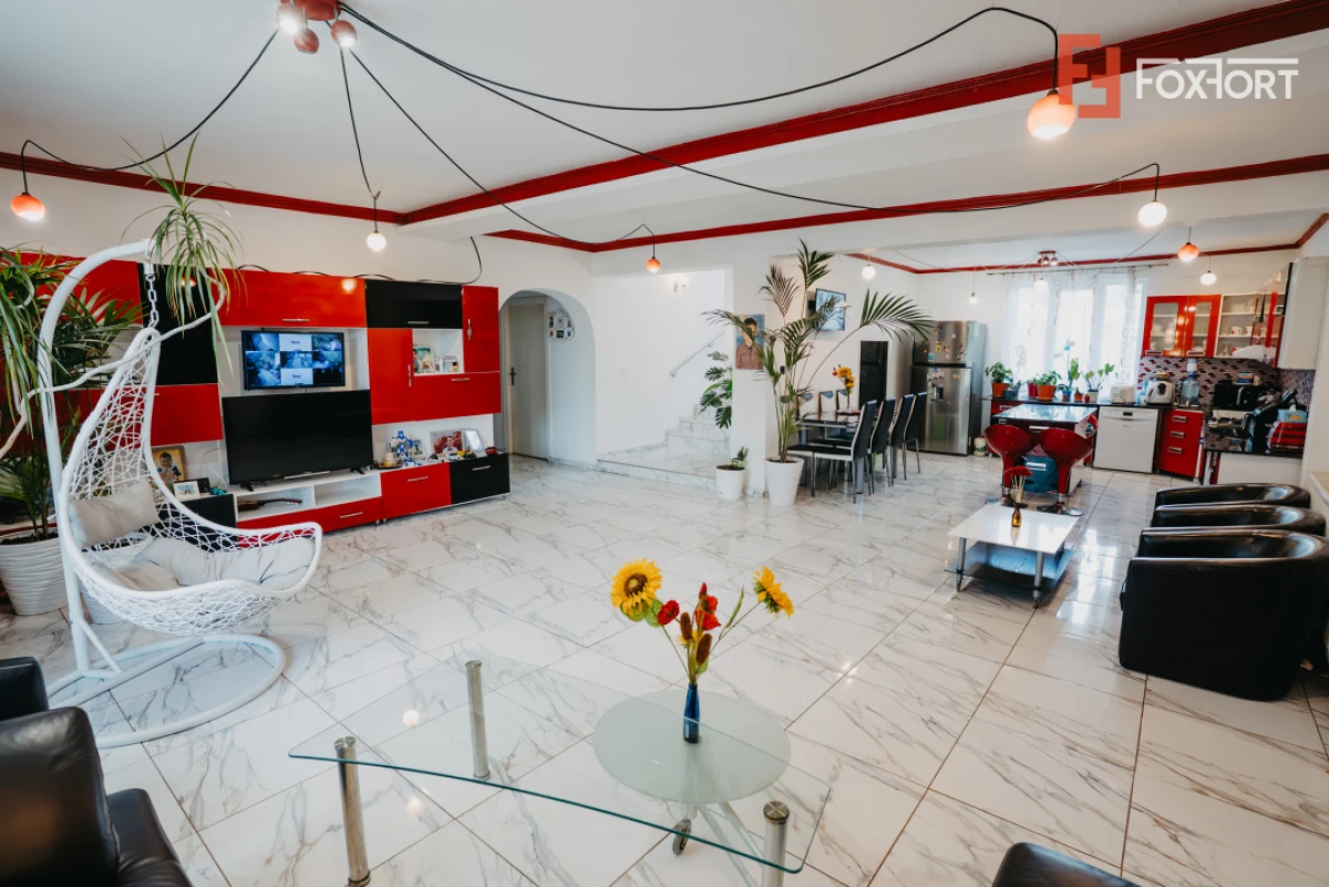 Casa individuala cu 8 camere si lac cu pesti, teren 4424 mp - Jebel - 7