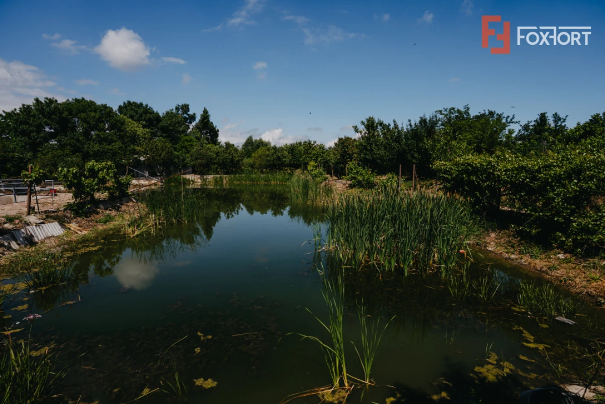 Casa individuala cu 8 camere si lac cu pesti, teren 4424 mp - Jebel - 3