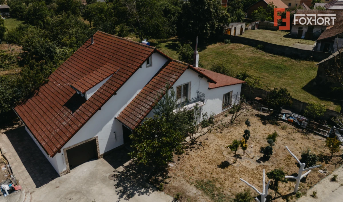 Casa individuala cu 8 camere si lac cu pesti, teren 4424 mp - Jebel - 2