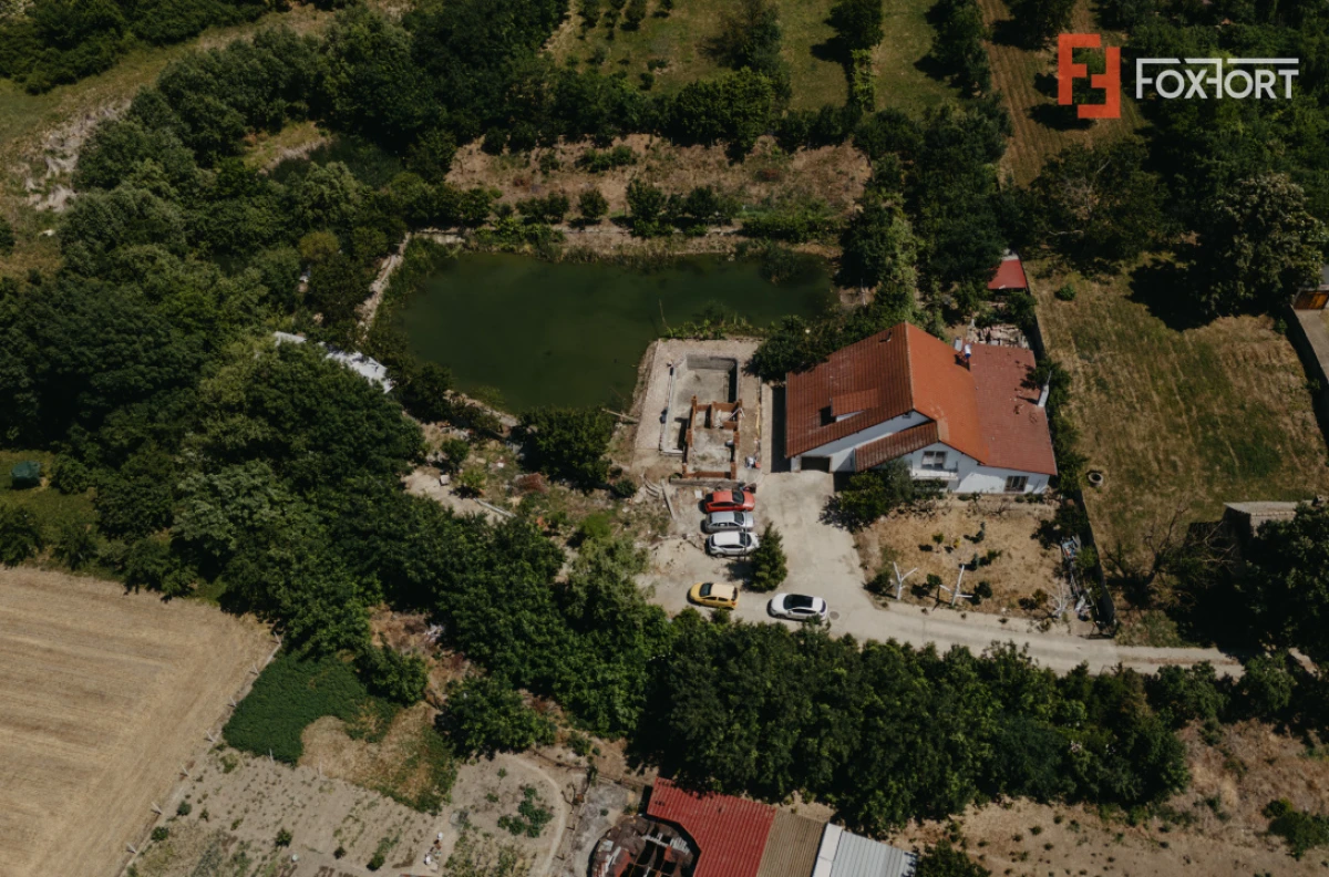 Casa individuala cu 8 camere si lac cu pesti, teren 4424 mp - Jebel - 1