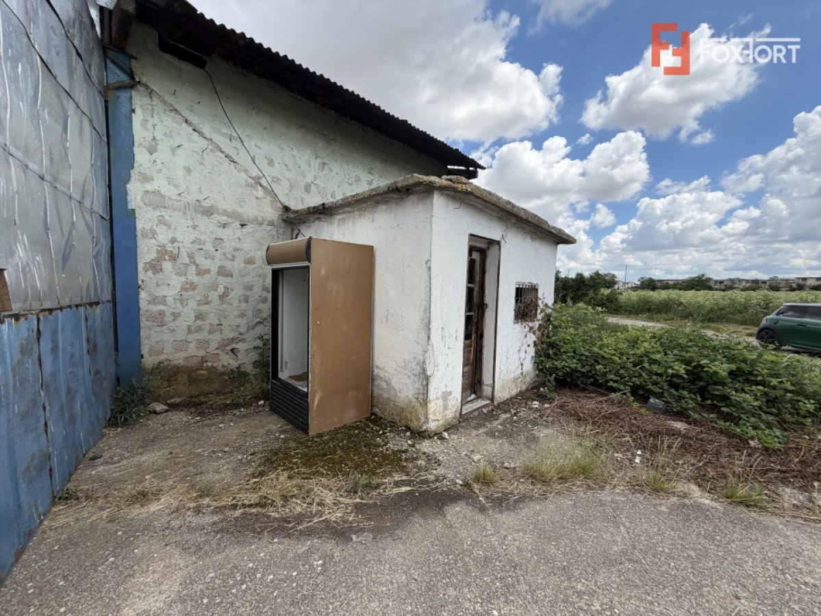 Depozit de vanzare cu suprafata utila de 450 mp - Ortisoara - 6