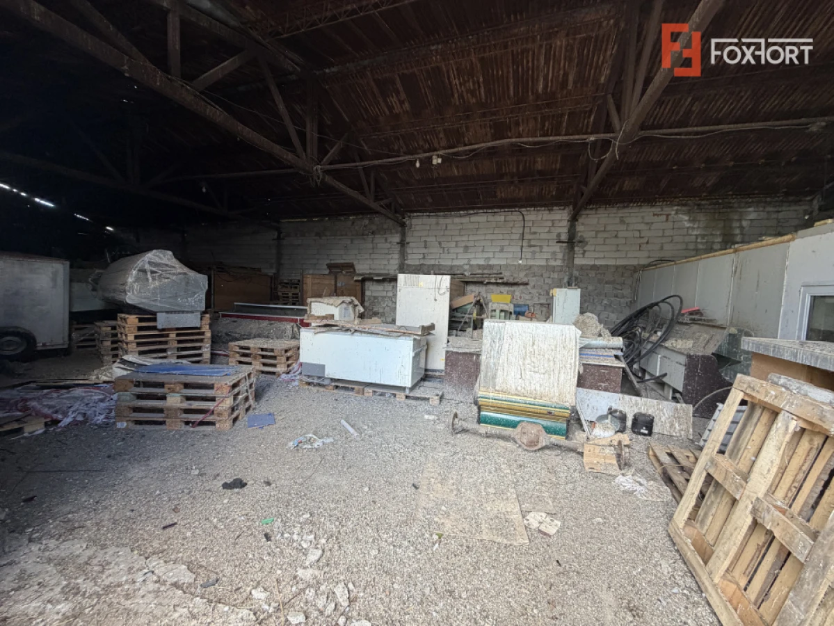 Depozit de vanzare cu suprafata utila de 450 mp - Ortisoara - 5