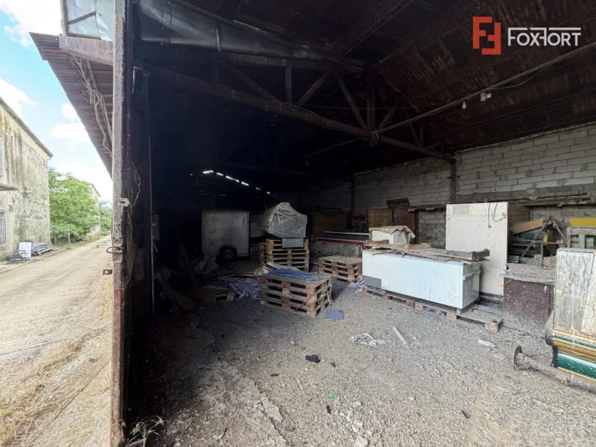 Depozit de vanzare cu suprafata utila de 450 mp - Ortisoara - 4