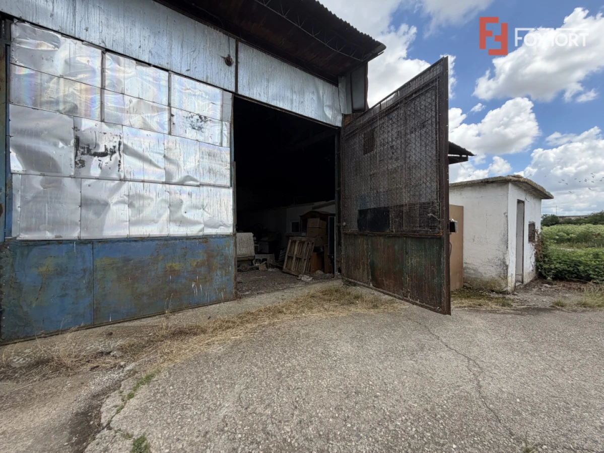 Depozit de vanzare cu suprafata utila de 450 mp - Ortisoara - 1