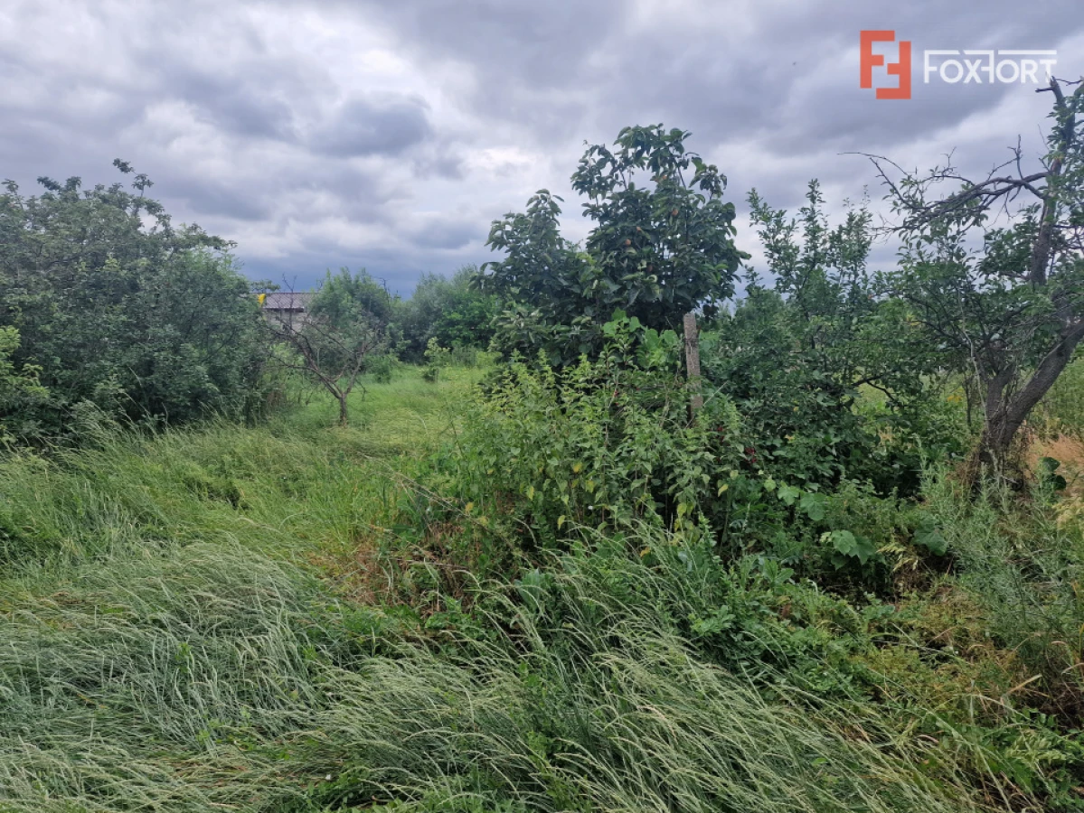 Teren intravilan de 1438 mp de vanzare, in Recas - 10