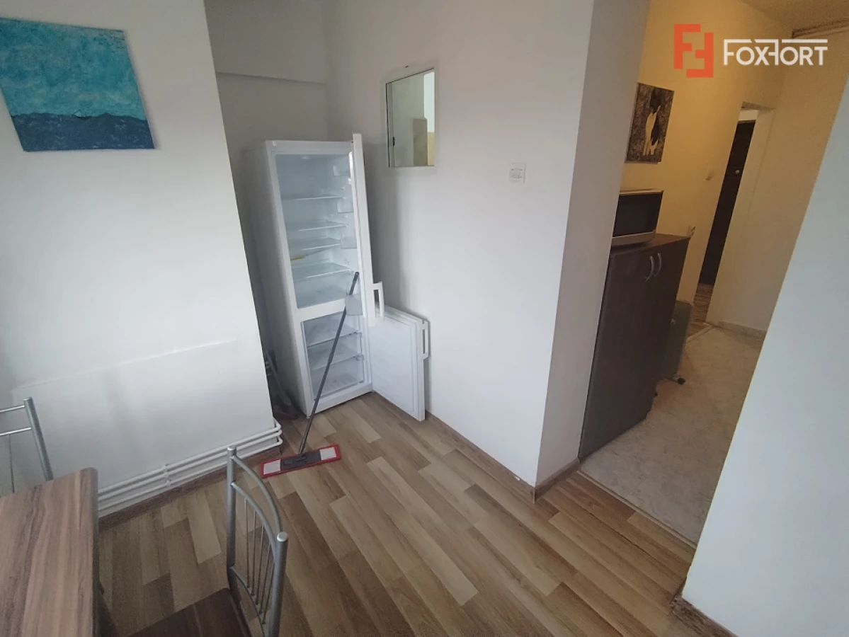Apartament cu o camera de inchiriat in Timisoara, zona Take Ionescu - 8