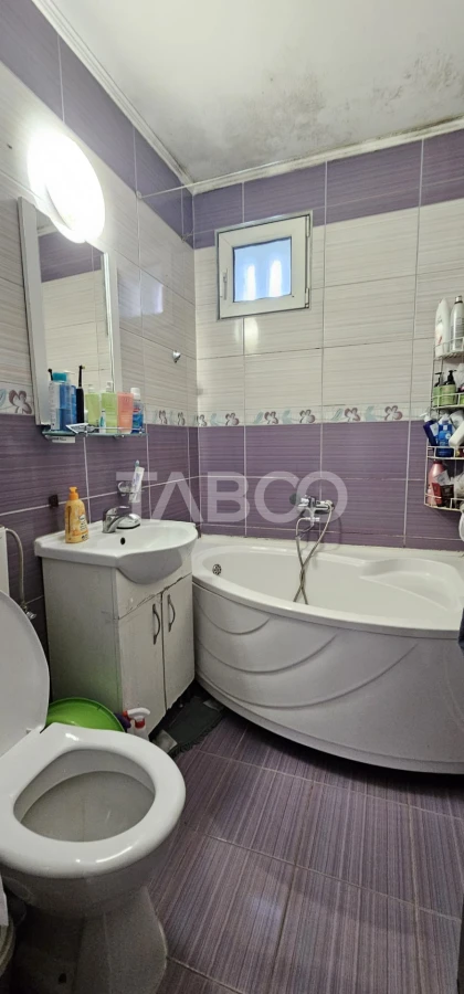 Apartament 3 camere zona Trei Stejari Strada Balea balcon 3 mp - 10