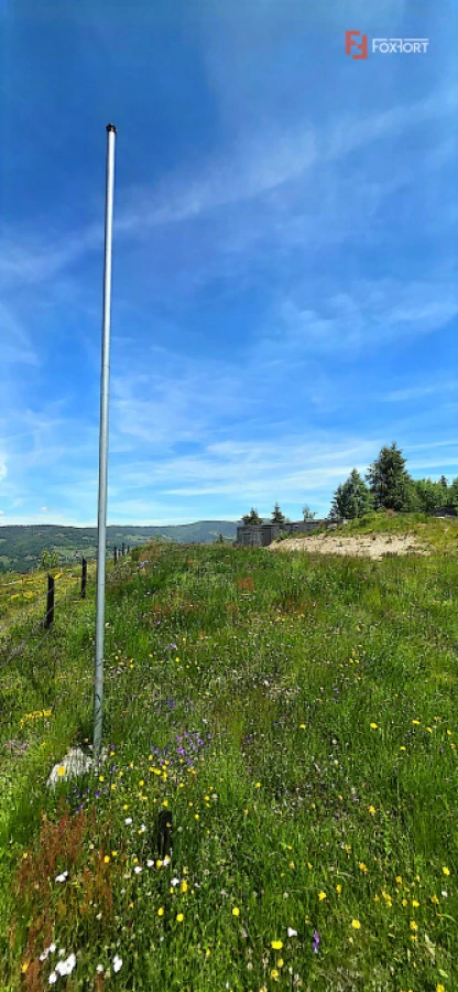 Teren intravilan pretabil constructii de vanzare in Costesti (Albac), Jud. Alba - 10