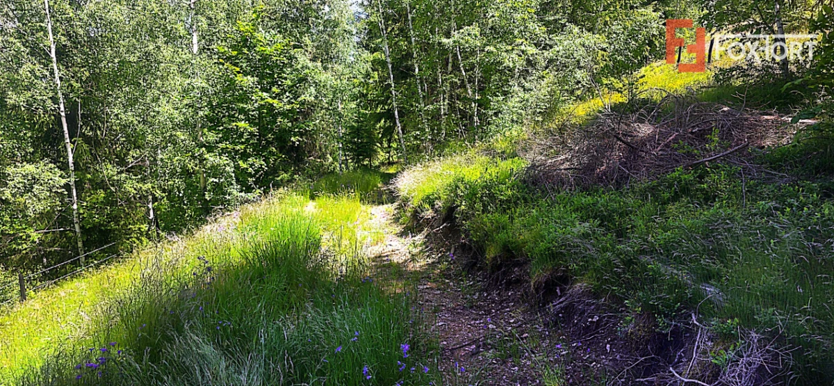 Teren intravilan pretabil constructii de vanzare in Costesti (Albac), Jud. Alba - 9