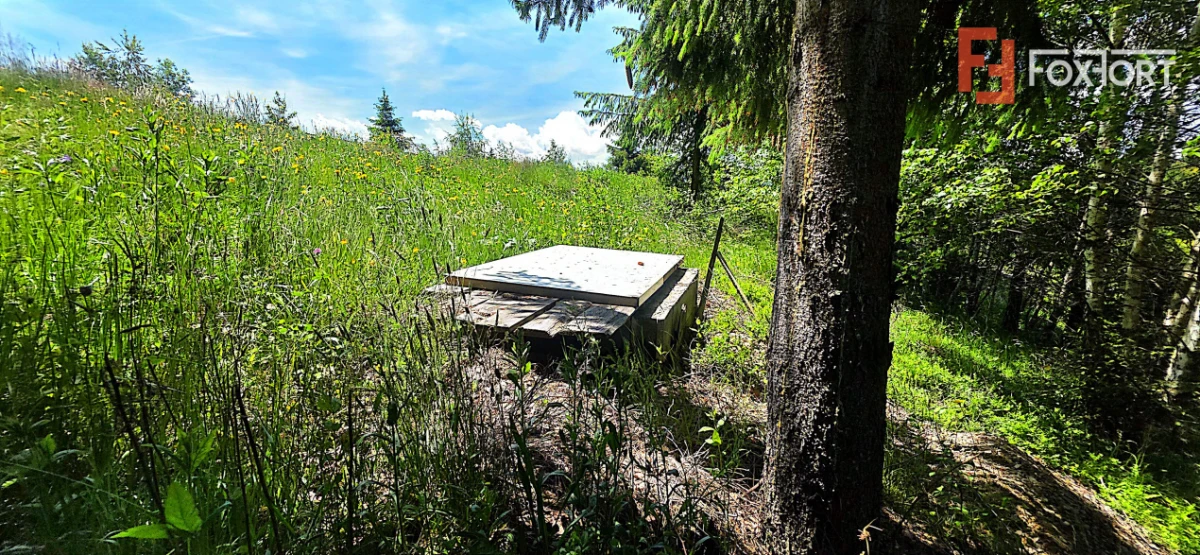 Teren intravilan pretabil constructii de vanzare in Costesti (Albac), Jud. Alba - 8