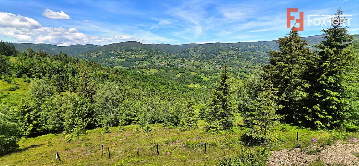 Teren intravilan pretabil constructii de vanzare in Costesti (Albac), Jud. Alba - 4