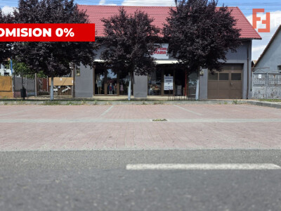 Casa individuala cu 4 camere + 2 spatii comerciale - Gataia