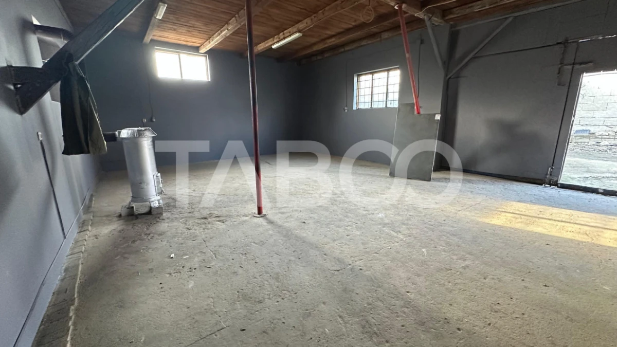 Spatiu comercial de inchiriat doua incaperi de 110 mpu zona Turnisor - 4