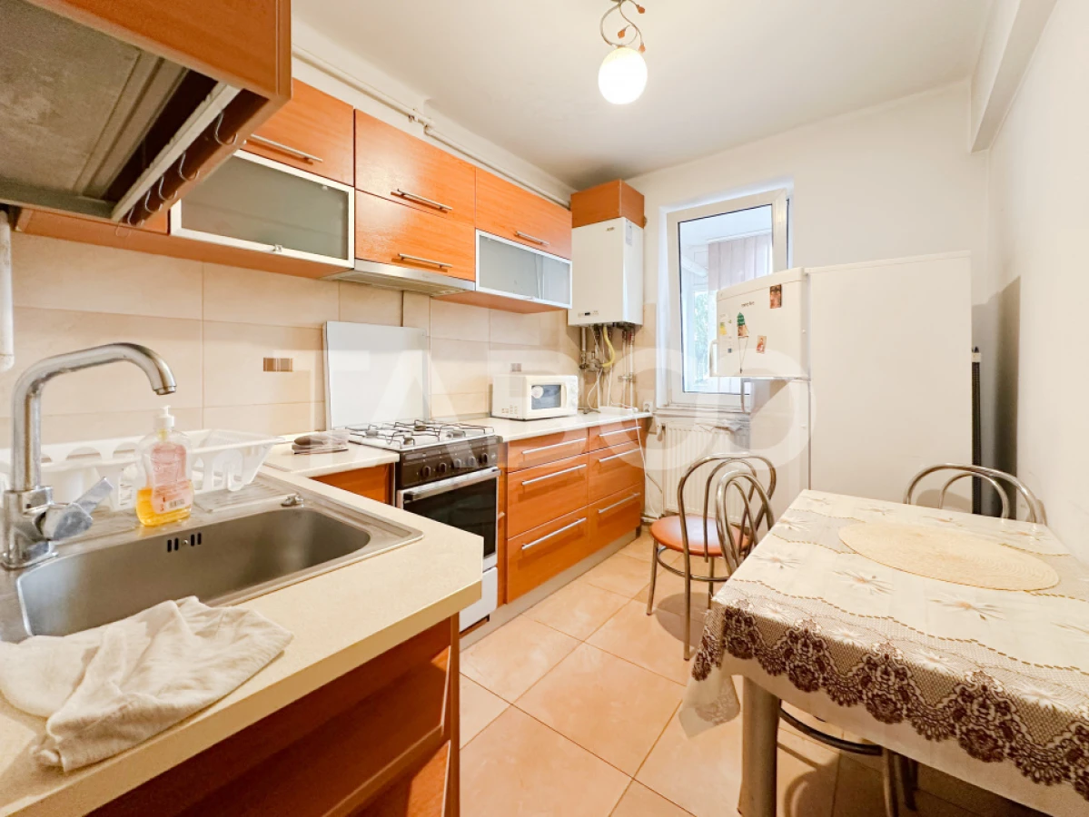Apartament cu 2 camere cu garaj zona Plopilor BT Arena Polivalenta - 4