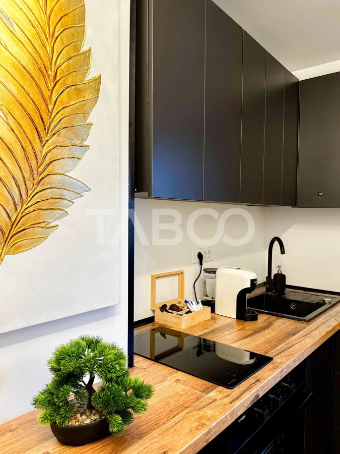 Apartament tip studio la cheie Ianga Fsega si Iulius Mall Gheorgheni - 4