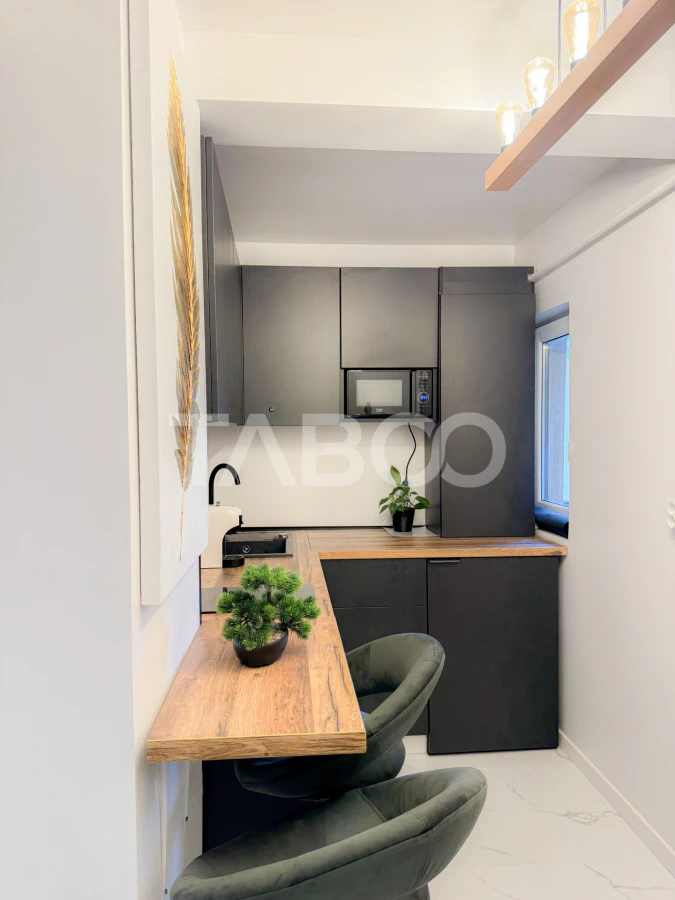 Apartament tip studio la cheie Ianga Fsega si Iulius Mall Gheorgheni - 2