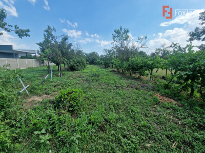 Teren de vanzare, ideal pentru construire casa/duplex