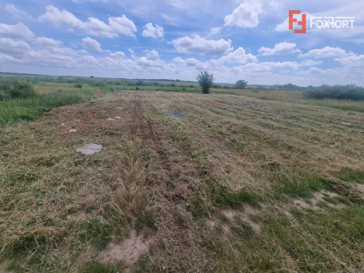 Teren intravilan de 743 mp in Mosnita Veche - 3