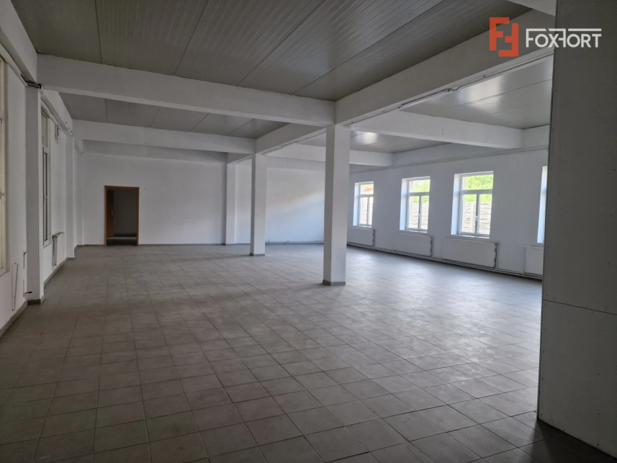 Spatiu comercial cu 16 incaperi - zona Mehala - 7