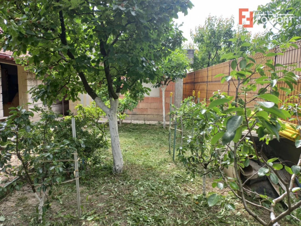 Casa individuala de vanzare in Timisoara | Teren 421 mp | Plopi - 9