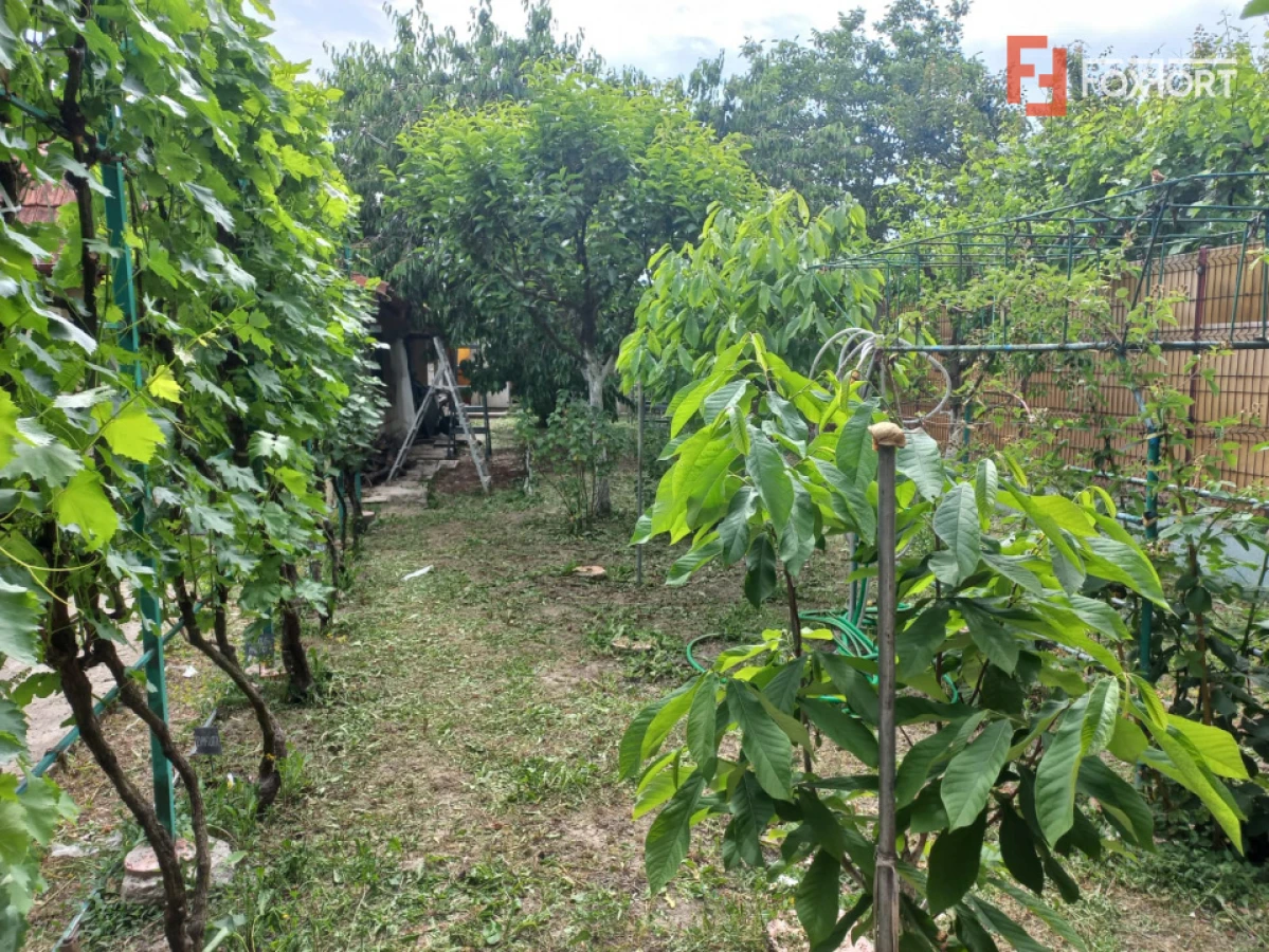 Casa individuala de vanzare in Timisoara | Teren 421 mp | Plopi - 8