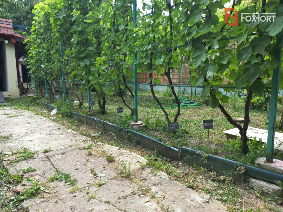 Casa individuala de vanzare in Timisoara | Teren 421 mp | Plopi - 6