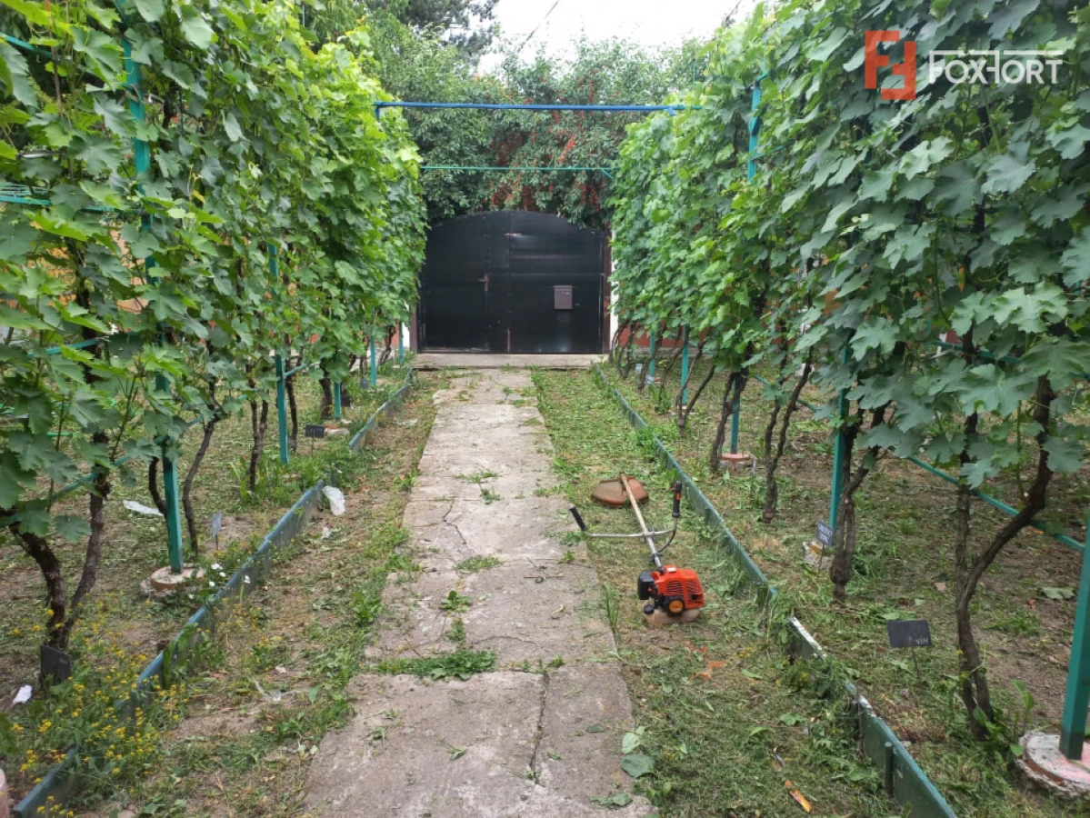 Casa individuala de vanzare in Timisoara | Teren 421 mp | Plopi - 4