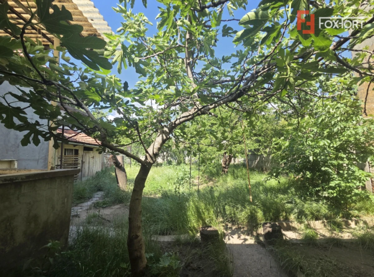 Casa individuala de inchiriat | Zona Functionarilor | Teren 380 mp - 10