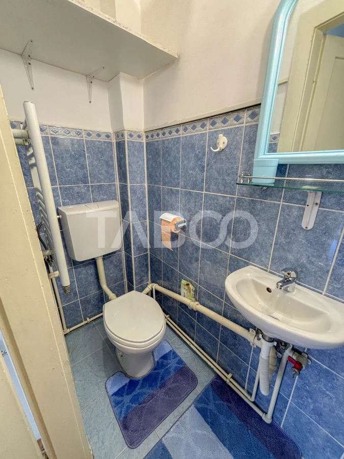 Apartament 2 camere de inchiriat cu terasa si curte Centru Cluj Napoca - 10