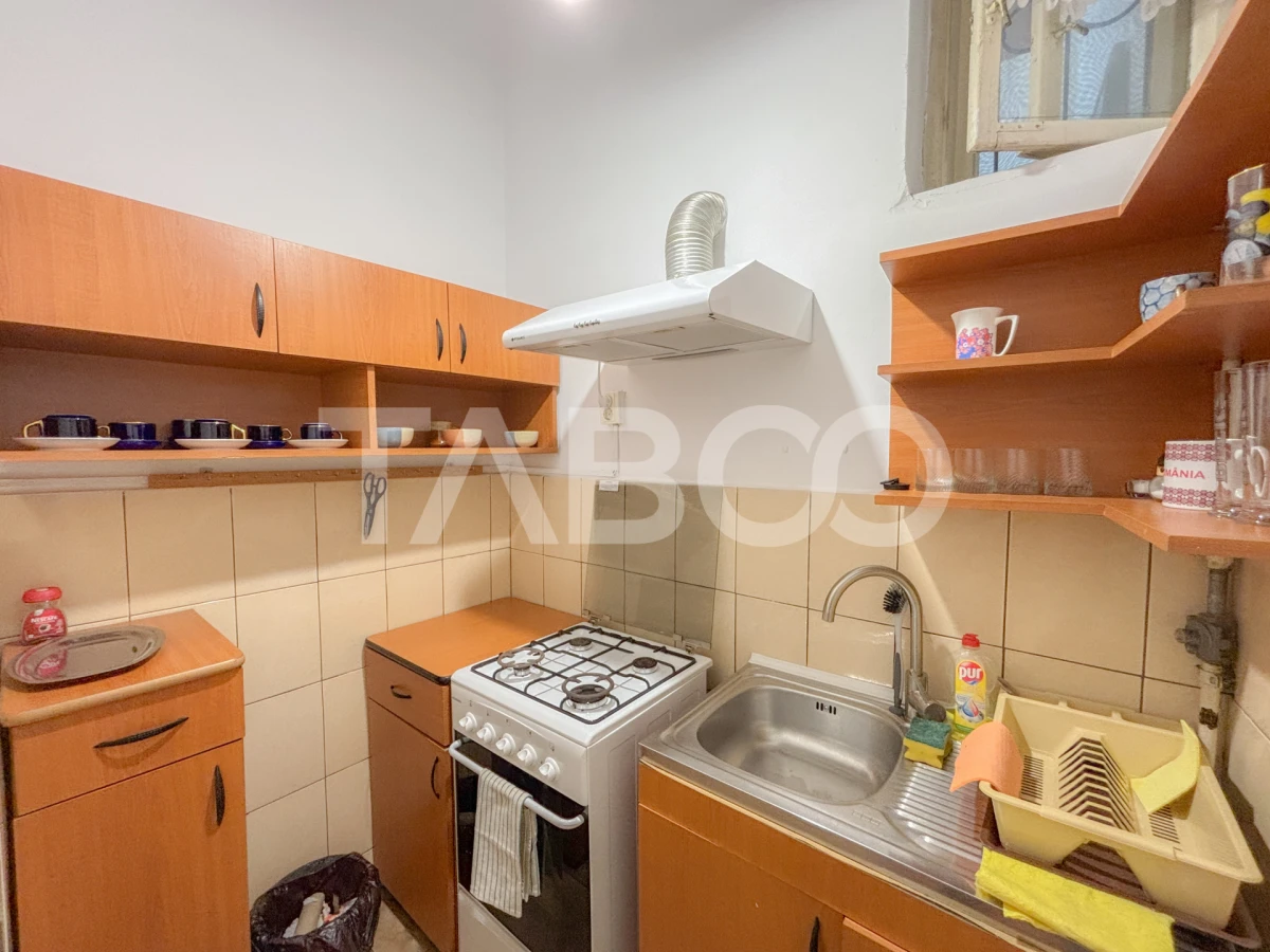 Apartament 2 camere de inchiriat cu terasa si curte Centru Cluj Napoca - 9