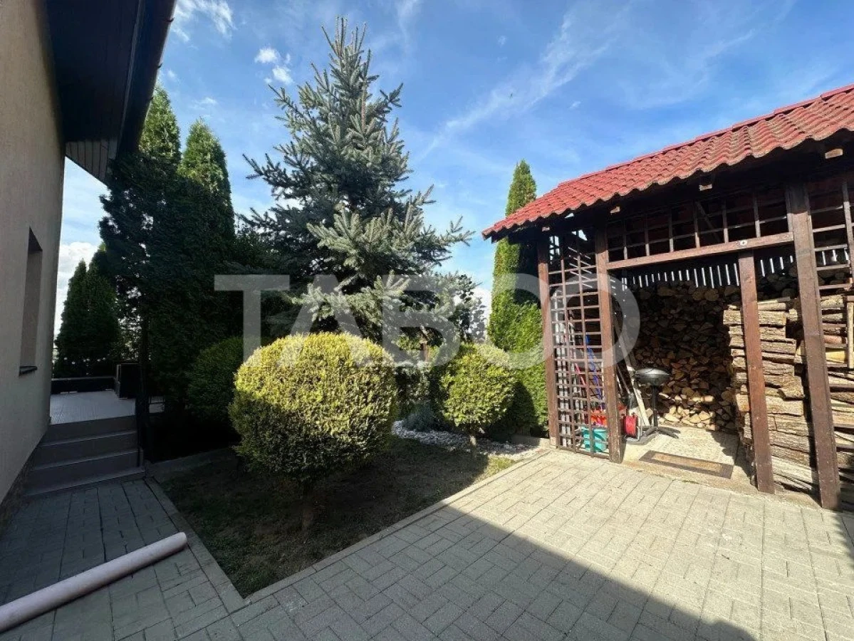 Liniste Spatiu Ritm - 5