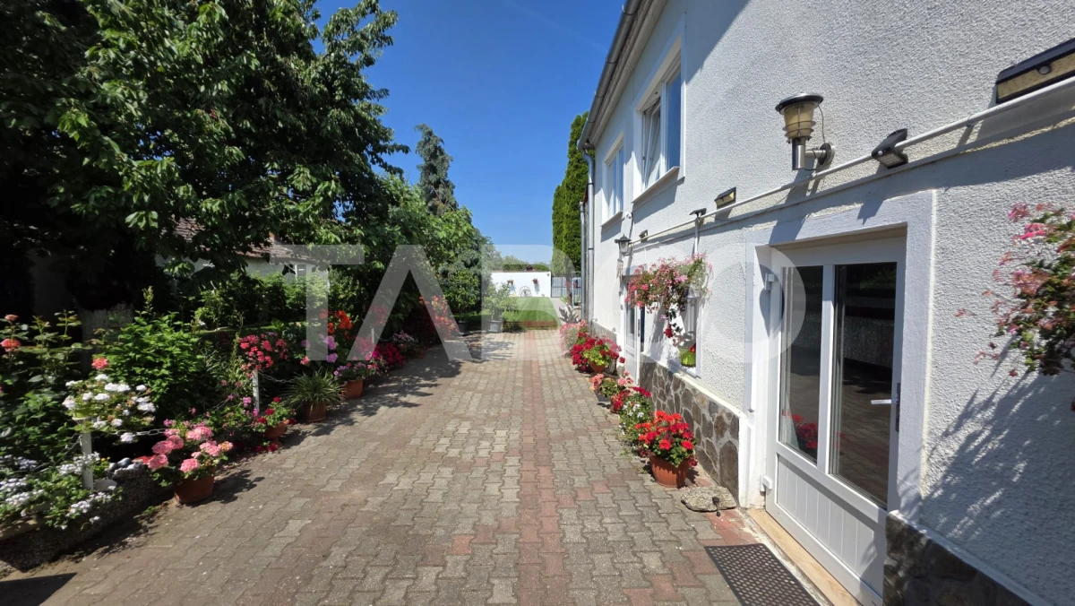 De vanzare casa saseasca de poveste in Petresti judetul Alba - 5