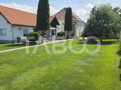 De vanzare casa saseasca de poveste in Petresti judetul Alba