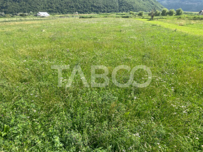 Teren intravilan de vanzare 3450 mp Boita 35 m deschidere langa A1