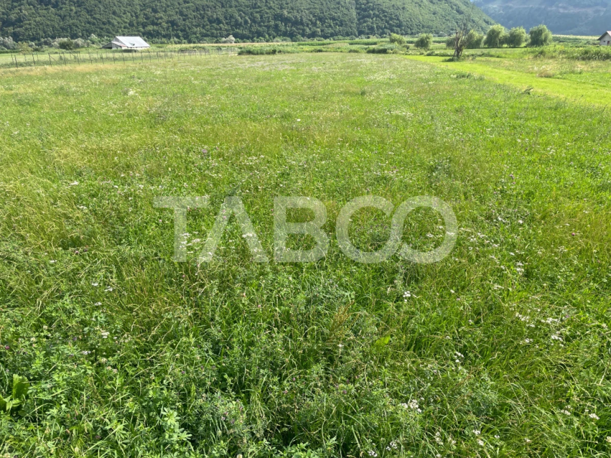 Teren intravilan de vanzare 3450 mp Boita 35 m deschidere langa A1 - 1