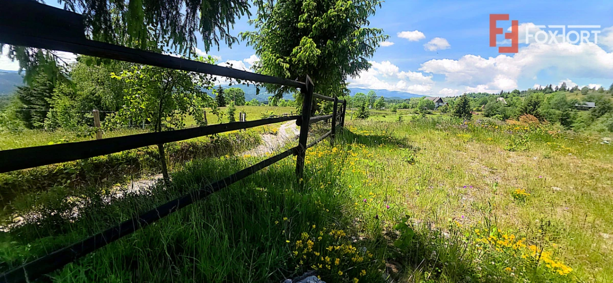 Cabane cu 7 camere de vanzare in Albac - 10
