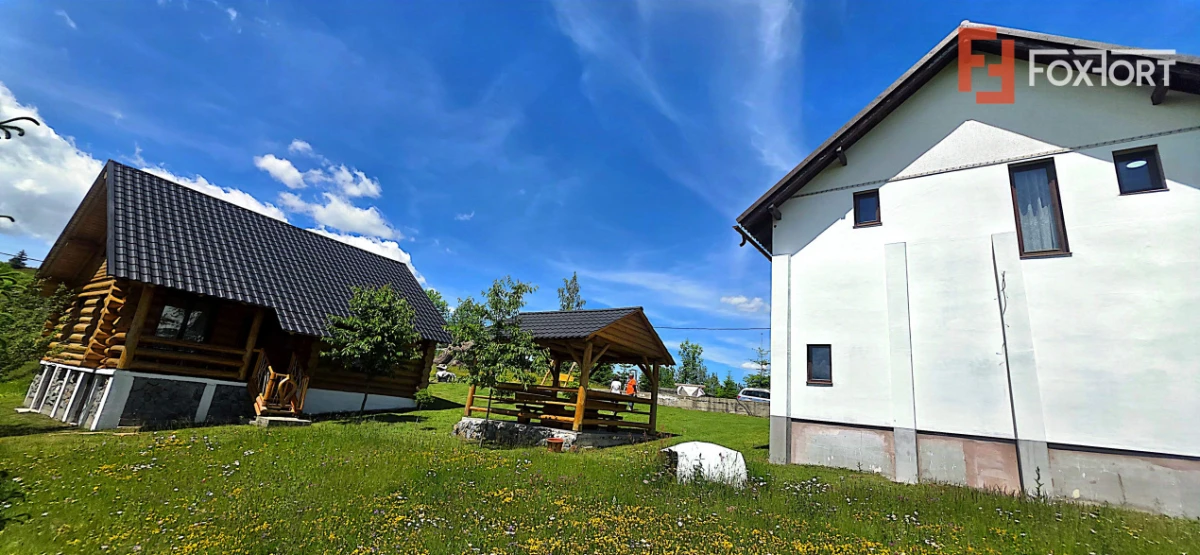Cabane cu 7 camere de vanzare in Albac - 9